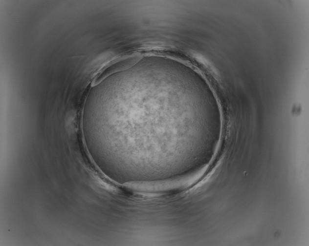 X0000091571353200708201136