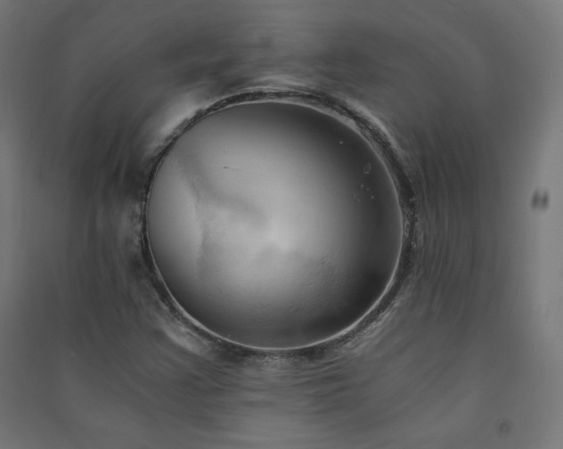X0000091571355200708201136
