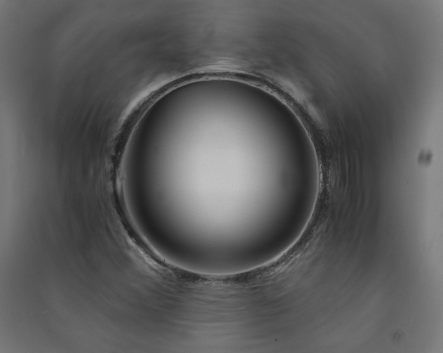 X0000091571356200708201136