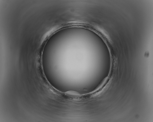 X0000091571357200708201136