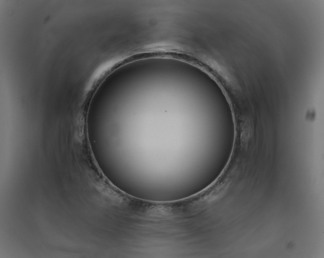 X0000091571358200708201136