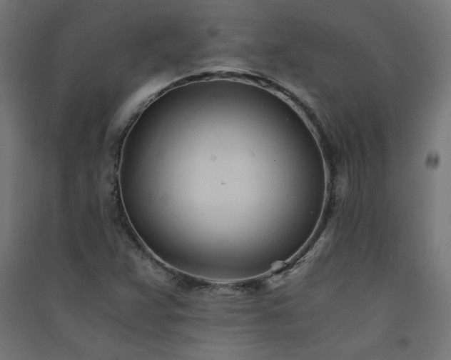 X0000091571359200708201136