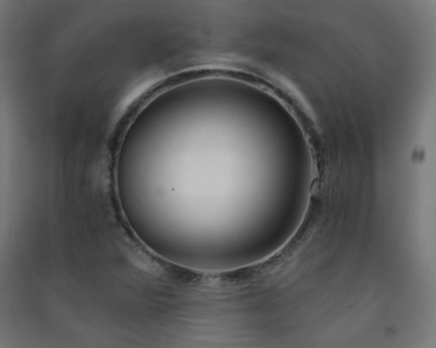 X0000091571360200708201136