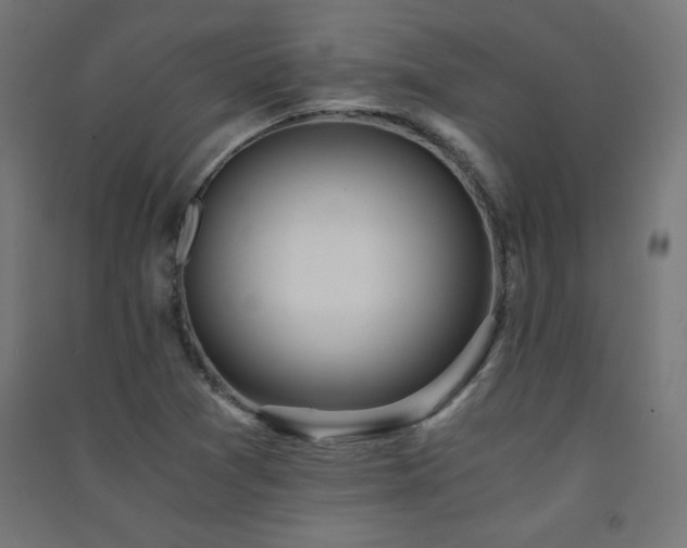 X0000091571361200708201136