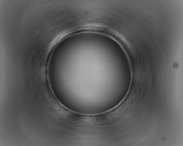 X0000091571362200708201136