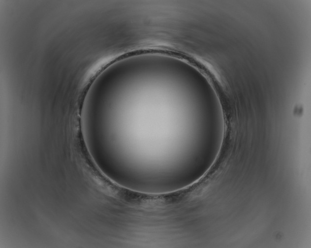 X0000091571363200708201136