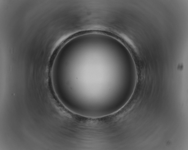 X0000091571364200708201135