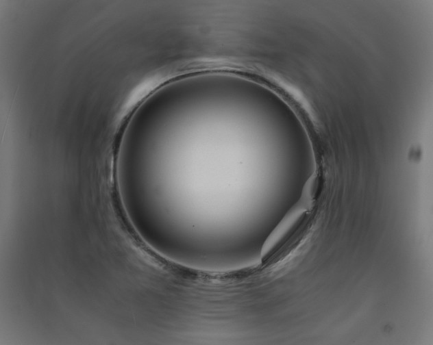 X0000091571365200708201135