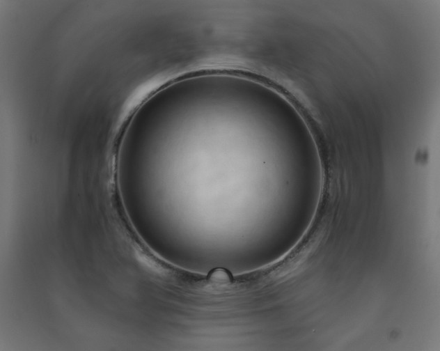 X0000091571366200708201135
