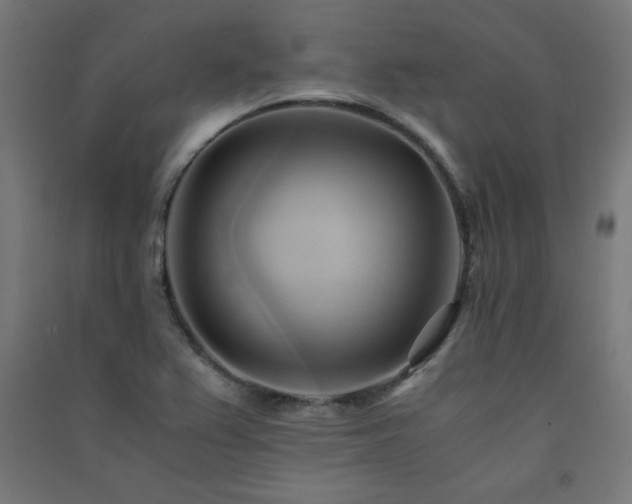 X0000091571367200708201135