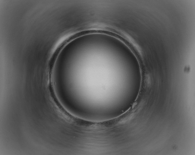 X0000091571368200708201135