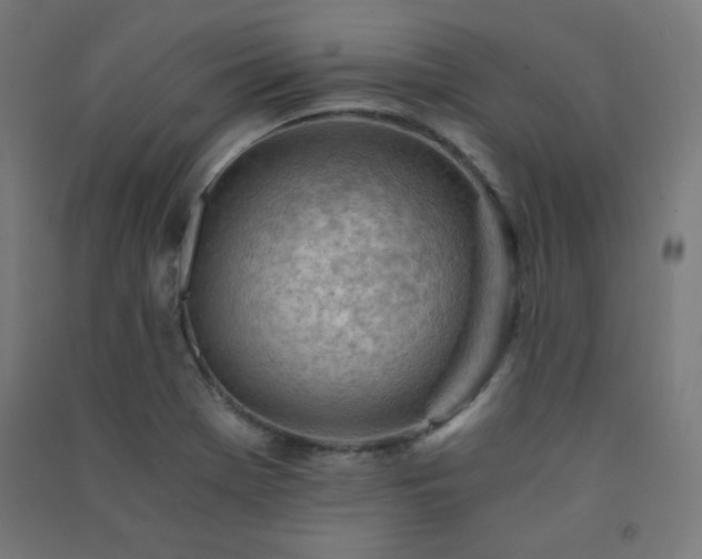 X0000091571369200708201135