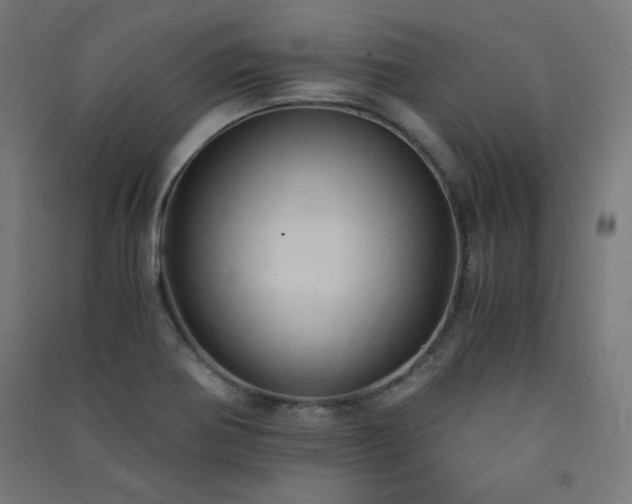 X0000091571370200708201135