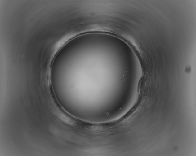X0000091571371200708201135