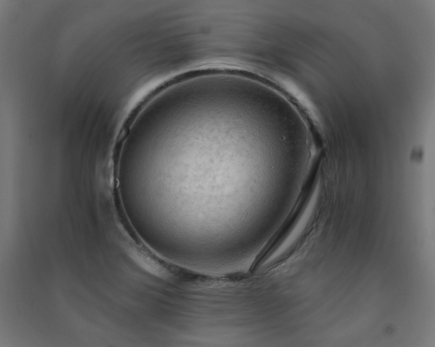 X0000091571372200708201135