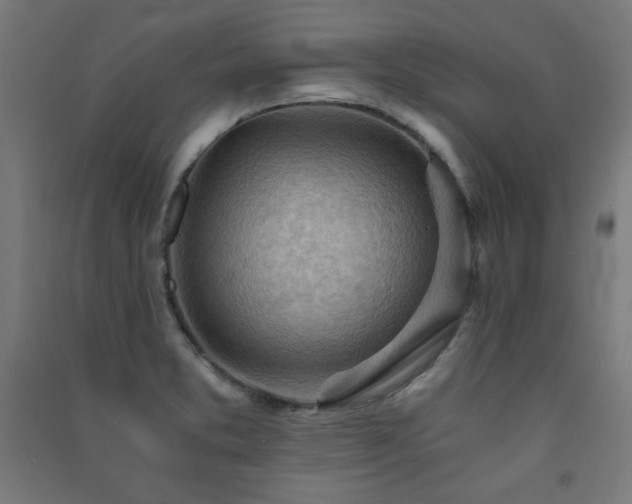 X0000091571373200708201135