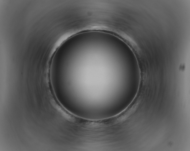 X0000091571374200708201135