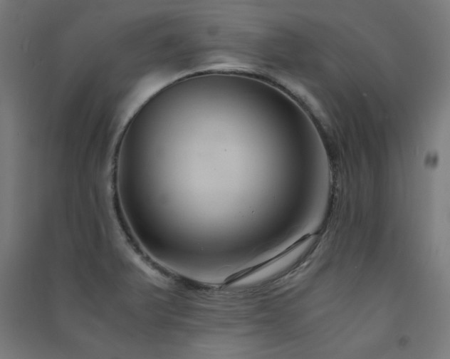 X0000091571375200708201135