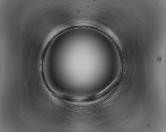 X0000091571376200708201135