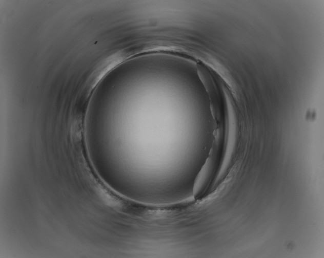 X0000091571377200708201135