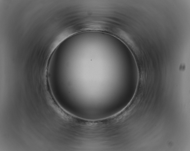 X0000091571378200708201135