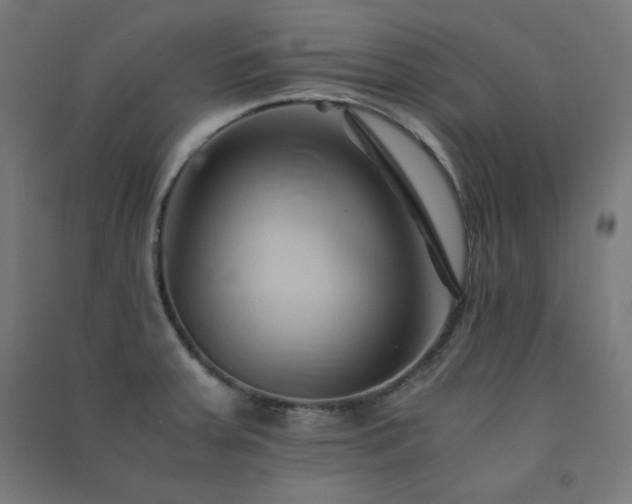 X0000091571379200708201135
