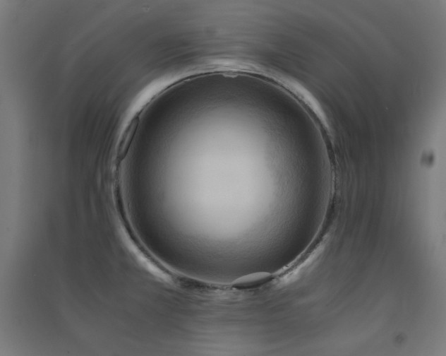 X0000091571381200708201135