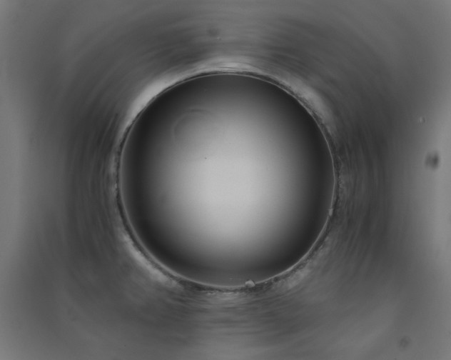 X0000091571382200708201135