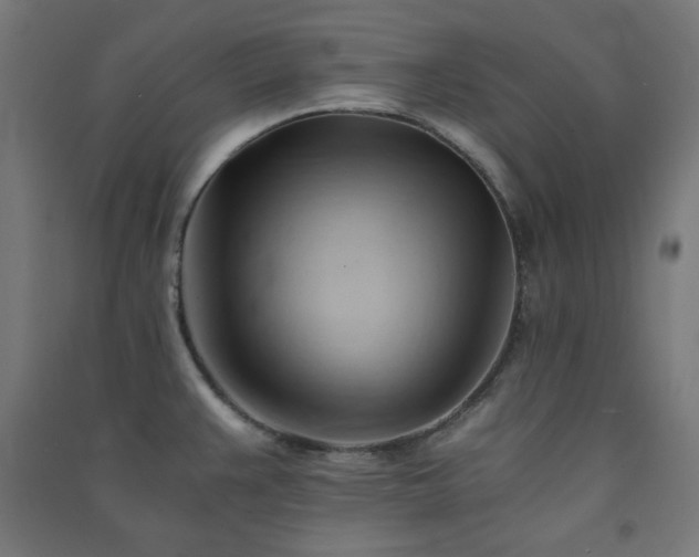 X0000091571383200708201135