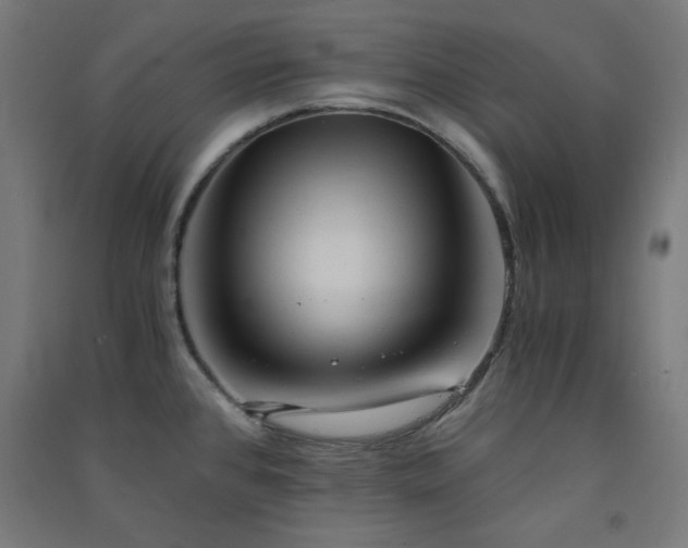 X0000091571384200708201135