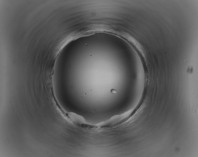 X0000091571385200708201135