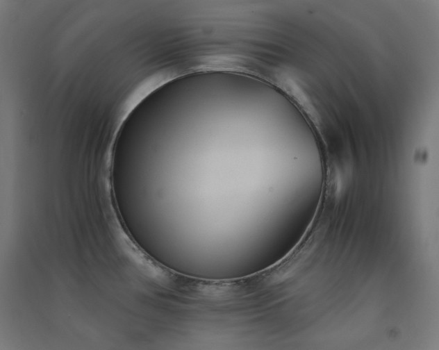X0000091571386200708201135
