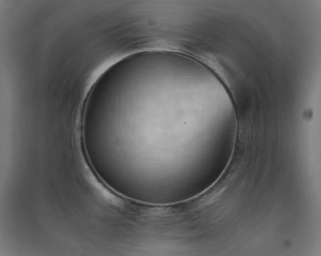 X0000091571387200708201135