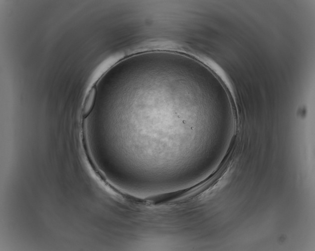 X0000091571389200708201135