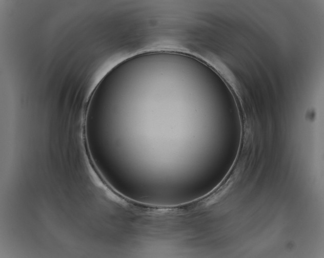 X0000091571390200708201135