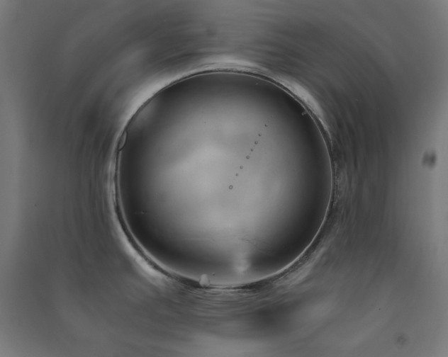 X0000091571391200708201135