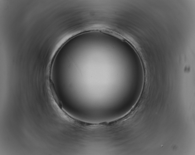X0000091571392200708201135