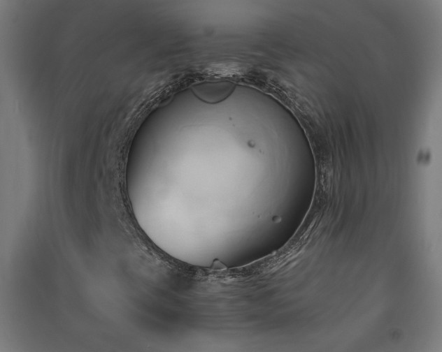 X0000091571393200708201134