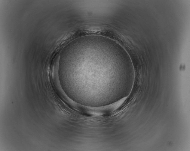 X0000091571394200708201134
