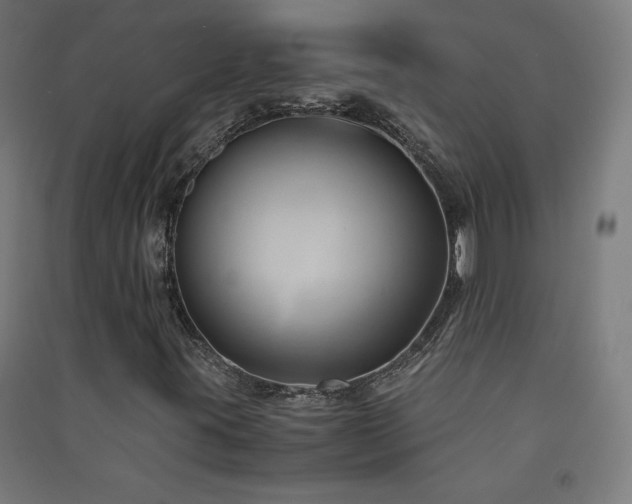 X0000091571395200708201134