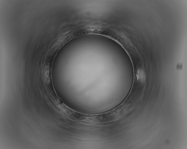 X0000091571396200708201134