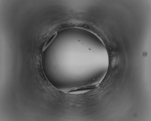 X0000091571397200708201134