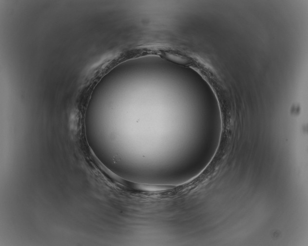 X0000091571398200708201134