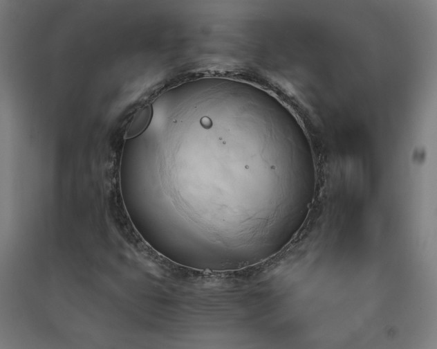X0000091571399200708201134