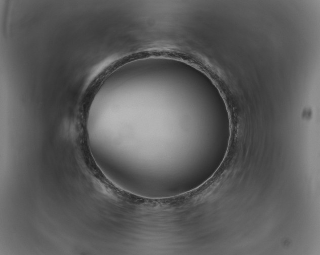 X0000091571400200708201134