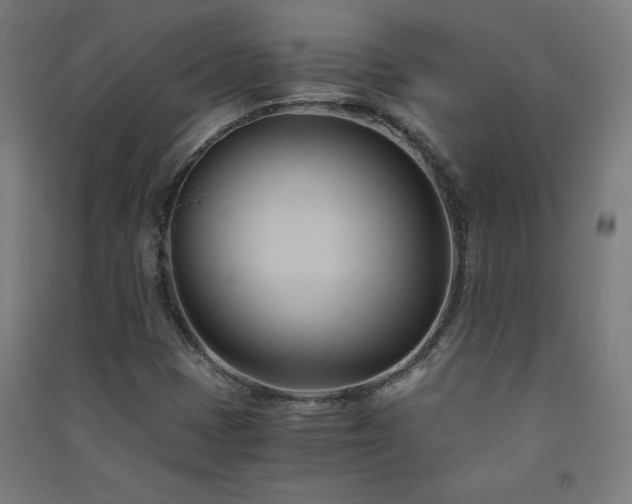 X0000091571401200708201134