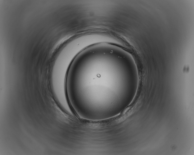 X0000091571402200708201134