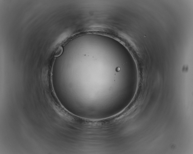 X0000091571403200708201134