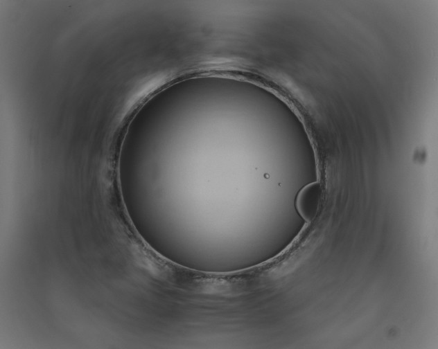 X0000091571405200708201134