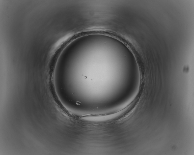 X0000091571406200708201134